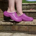 T&C Cloggies Raspberry