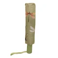 Pop up Umbrellas
