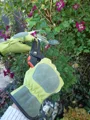 LEATHER FLEXIR GLOVES MED GREEN (6)